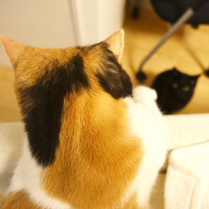 752120da 2b1a 4b0c b82c f30f5986e545