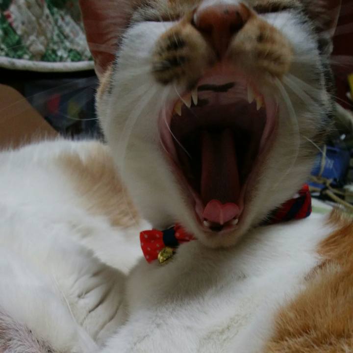 75216898 0469 4a6a 8abf e9337f48a64a