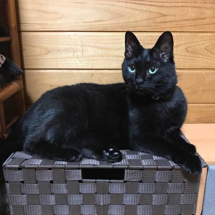 75222988 e8ff 4f00 aa94 1e976ad569e7