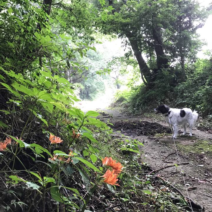 75230421 afcc 4bcd 842b 97aa25c80c6b