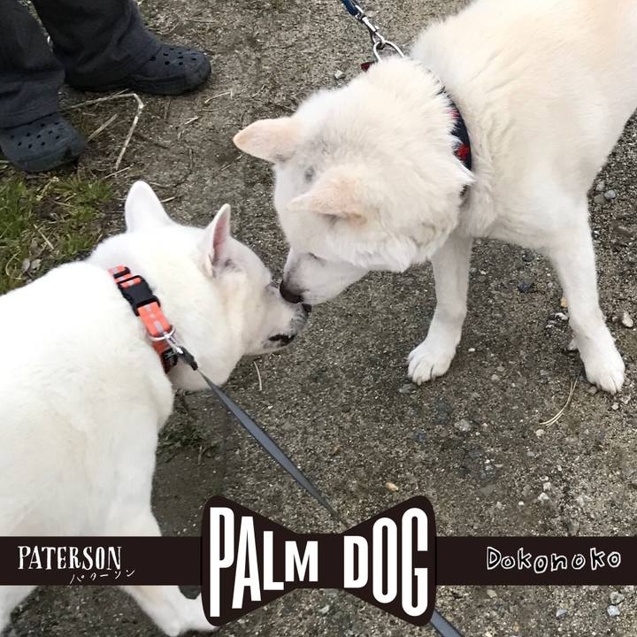 752328e3 63ea 45f6 b12a 9545aa7ecb93