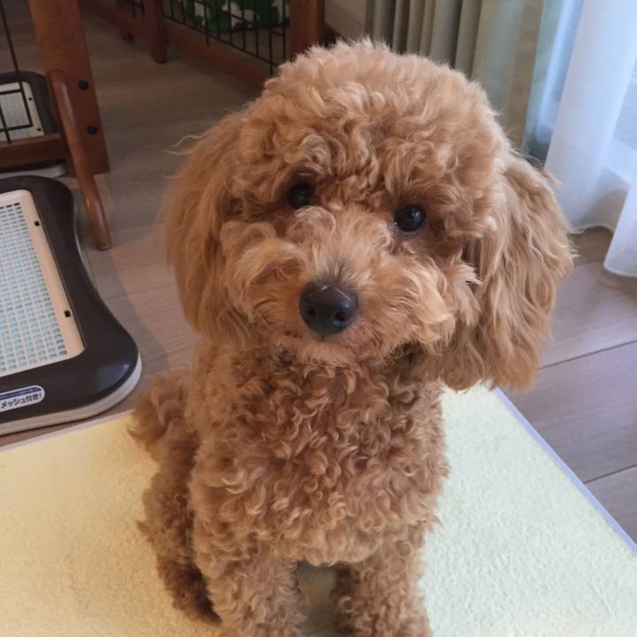 75245adb 44cb 4198 b12a 17705a71fdc2