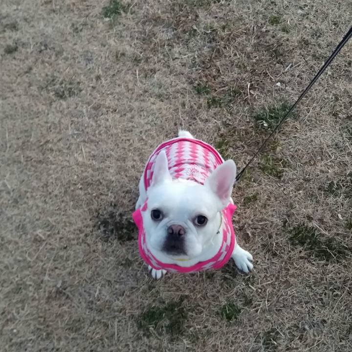 75246003 3f6c 4d7e b866 d343840c5513