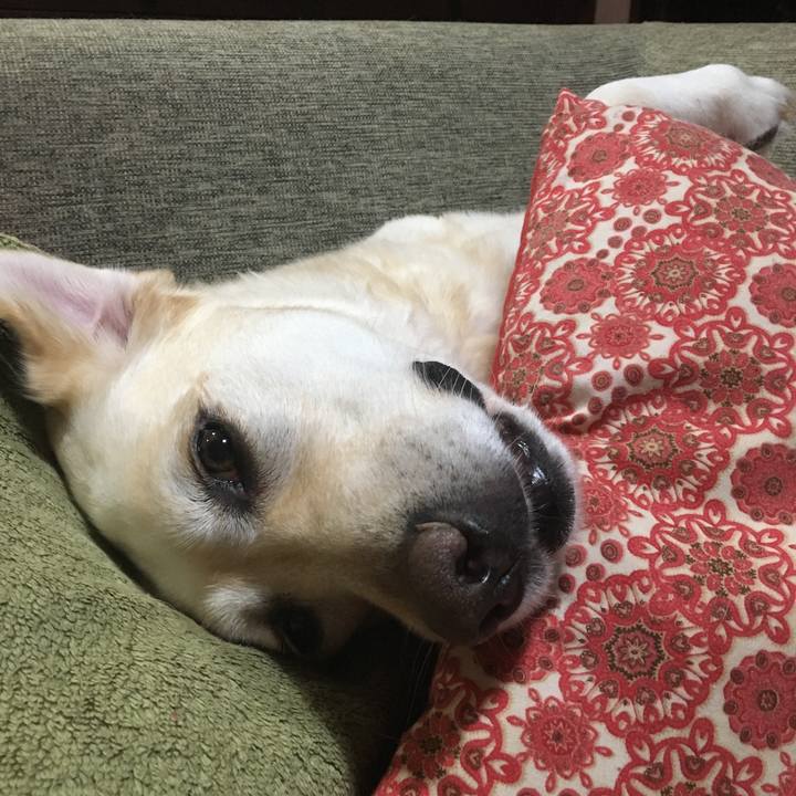 7524ff7b 5f36 4da0 b99d 8c16db3d39fd