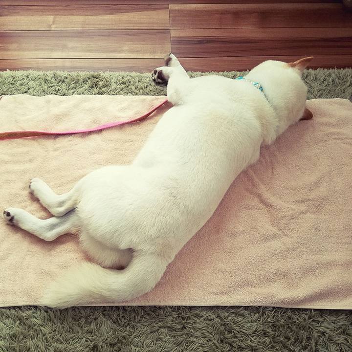 752503a4 33d0 4f30 b2fd 1ca1e1cd2293