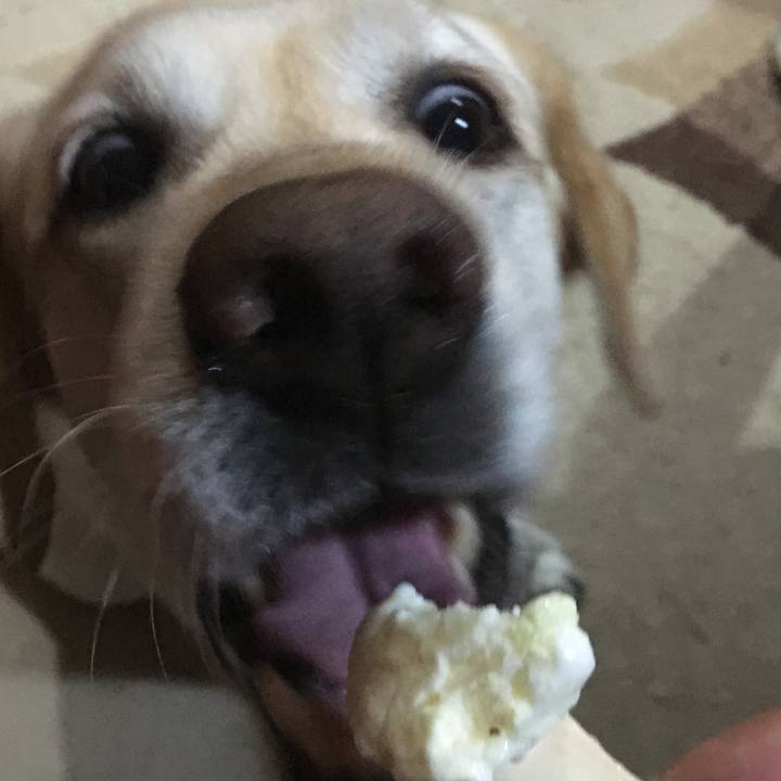 75251da0 d69e 43f5 9853 9ab775de7f19