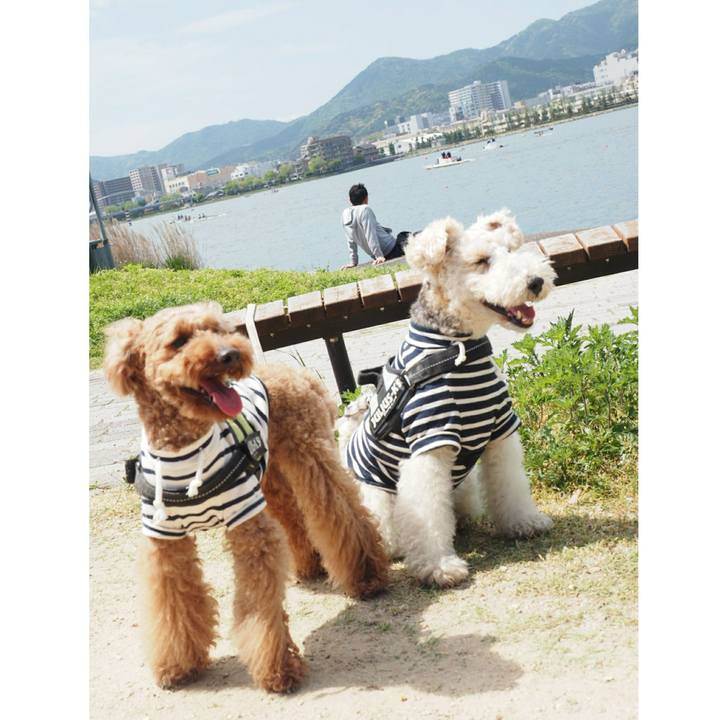 752532e0 bc9d 4685 a3c4 d7634fde321c