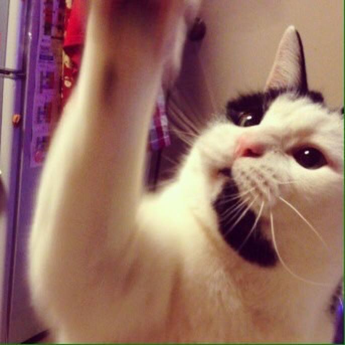 752554a5 f3c4 445e 8791 77a182239d87