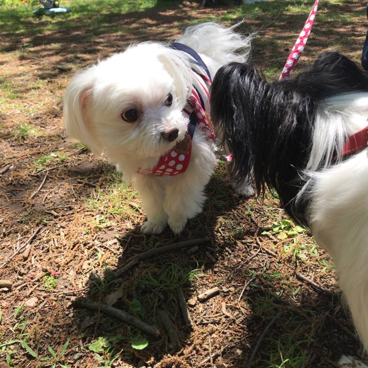 7525a013 e263 4348 a5a6 99f38ee3837f