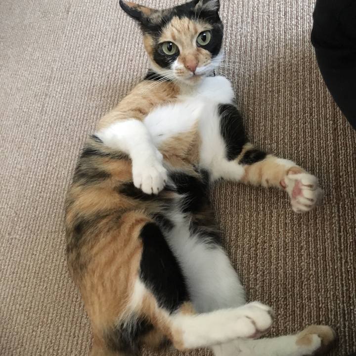 7525ba13 d679 4770 97e8 78eeacc98015