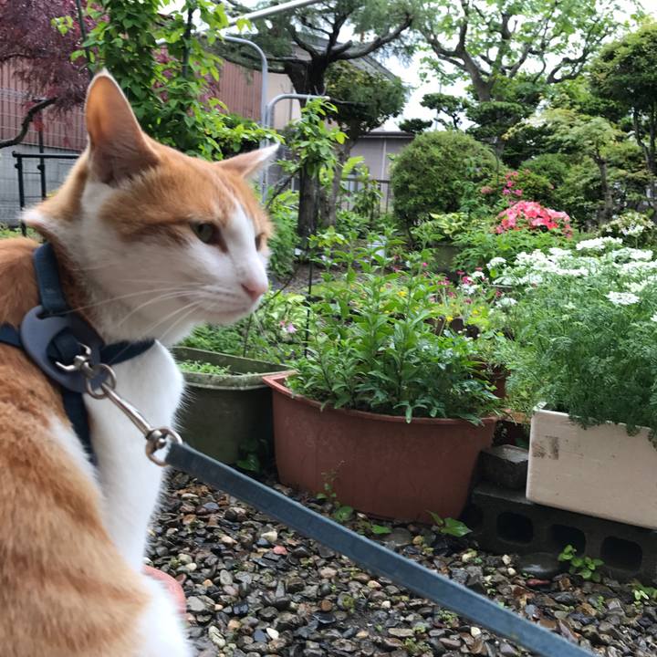 7525ea0d b0e7 48eb a72b ef1929f31ef6