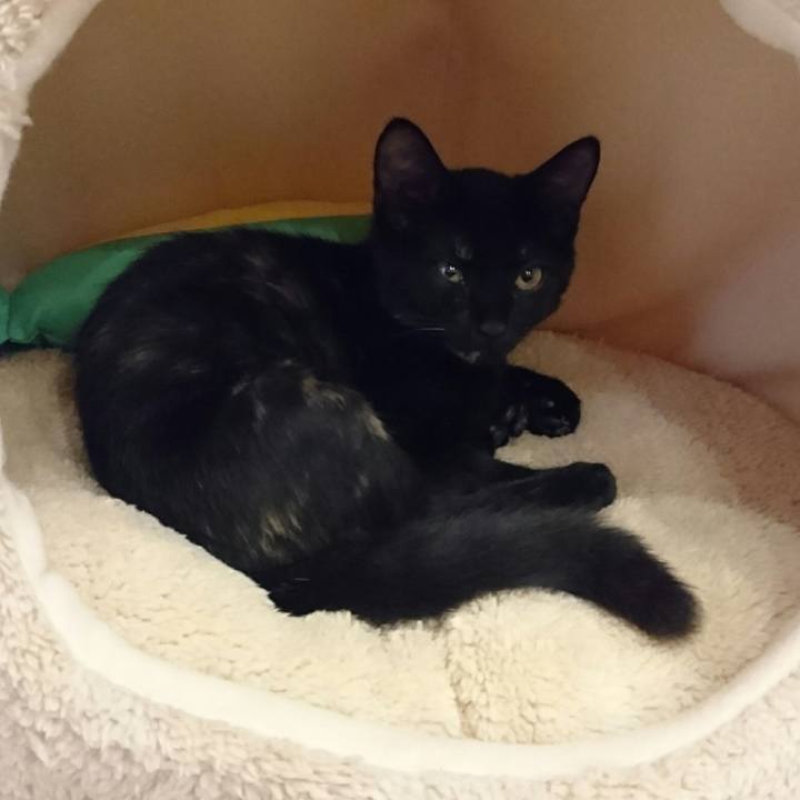 7525f824 c4c2 4d82 8f16 f21c869497ea