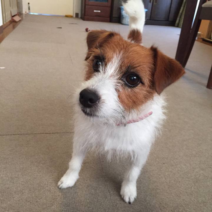 752604f5 3741 4906 93d6 b0110f0d0c8a