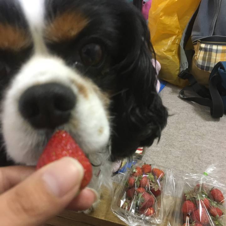 75266580 2826 4368 b228 ebe3479ee245