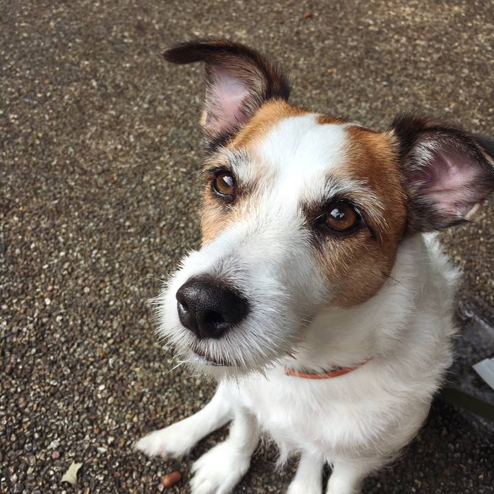 7526d2a7 f1b1 4b81 80db ce0c761420d3