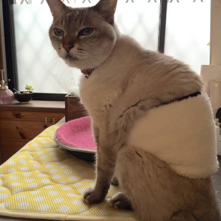 75276dba f852 42dc befb a264cf1847de