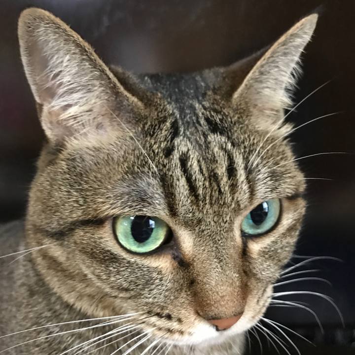 7527a2d7 aba1 4df3 9a37 7666bbacdb58