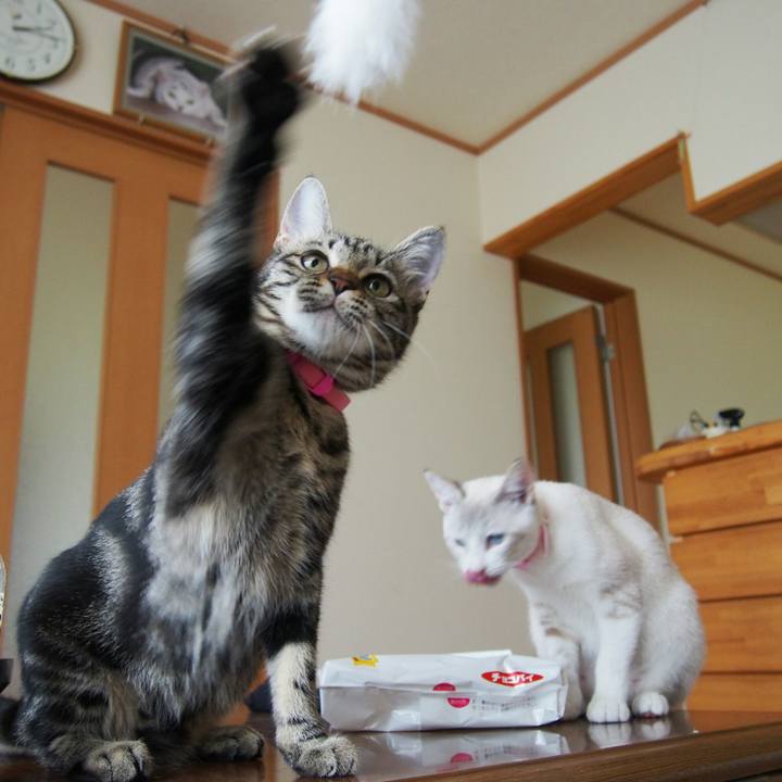 7527ce2a 1280 4ccb b4db 27816ae4606d