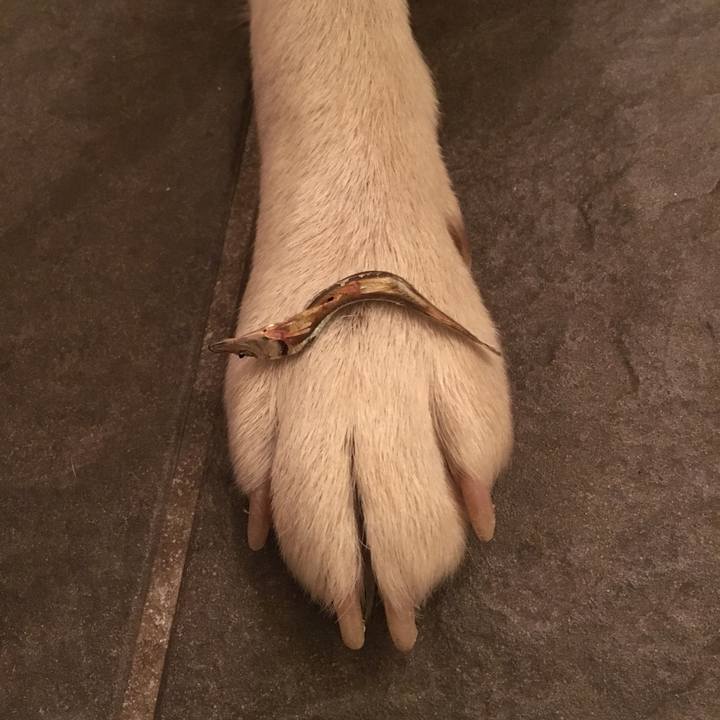 75283c54 1acb 4014 9df3 596a8c578c05