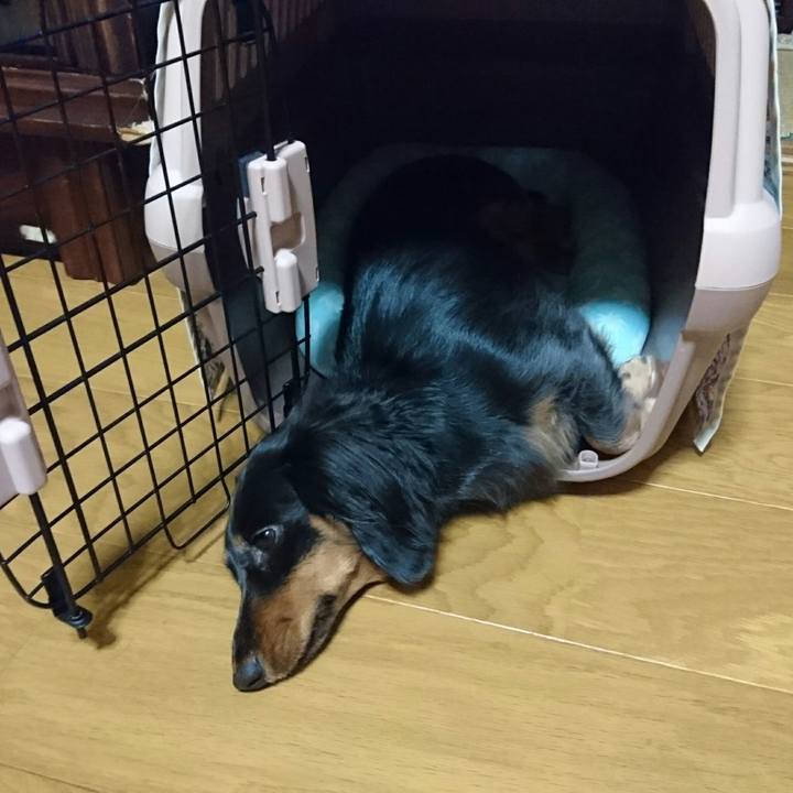 7528ad35 9adb 4db9 833f 2df06538defd