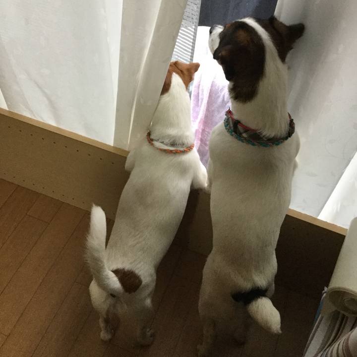 75294af8 7055 4a94 bdec e2e3a4d7f8b8