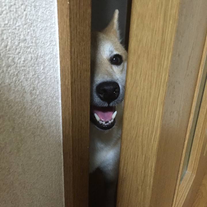 7529e7c2 a442 485a 9f69 9d0214c79691