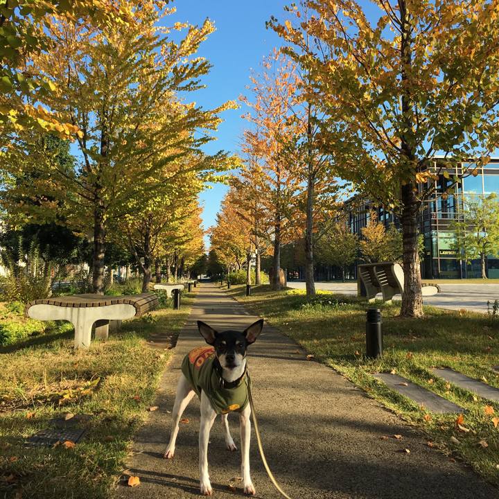 7529e95e d858 43c7 b1ae 77b5360805e4