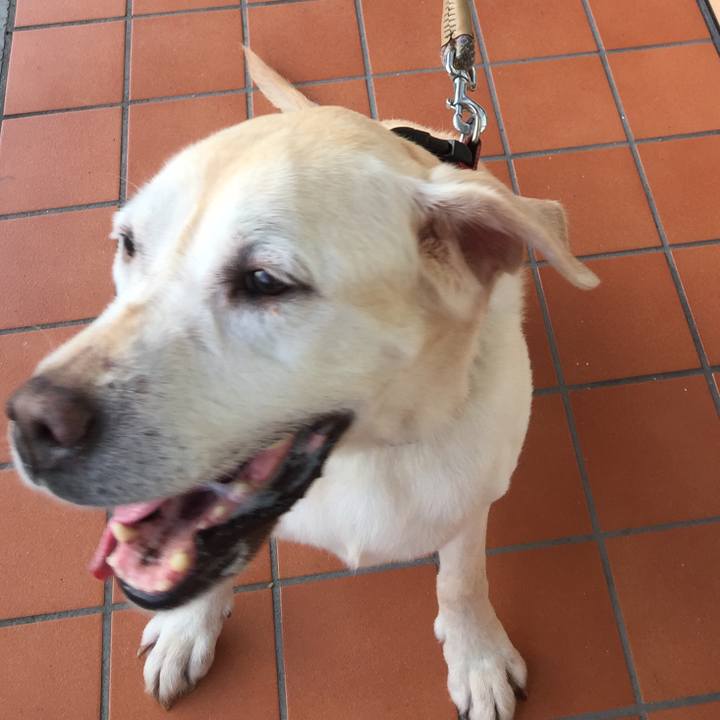 752af970 badb 4587 a0c2 b19c23343467