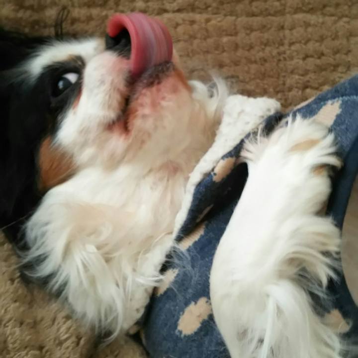 752b0e25 b7df 46ba 8d7e 3d0506c6abcf