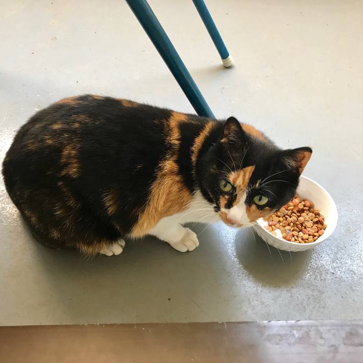 752b9a7d 8dce 415a b97d 3b73a1954ad3