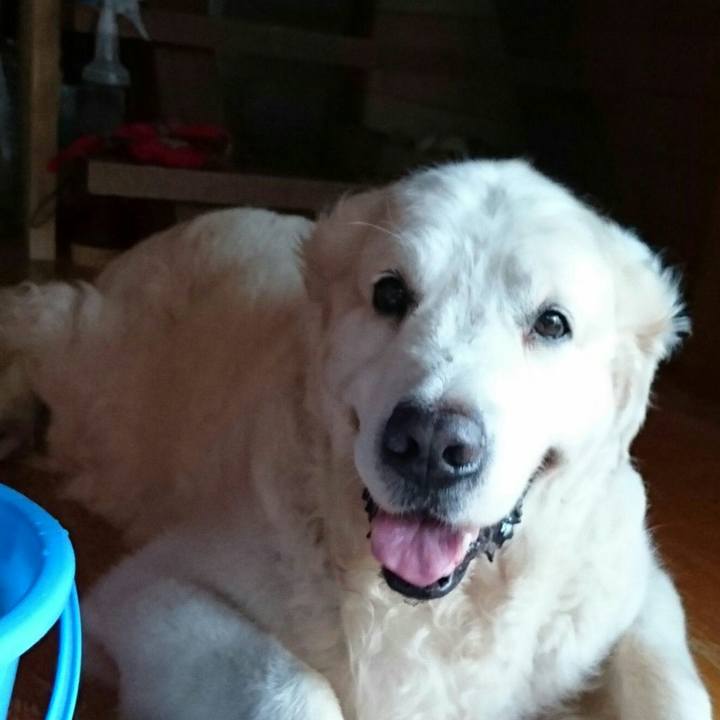 752bbcf1 ffae 4ee6 89bc c126642b23d4