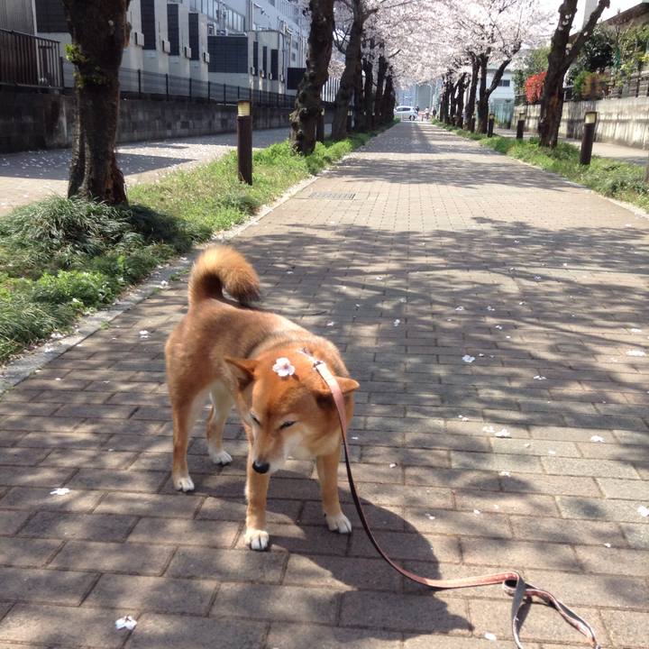 752bfa9a ad80 4673 990a df59f194ba5a