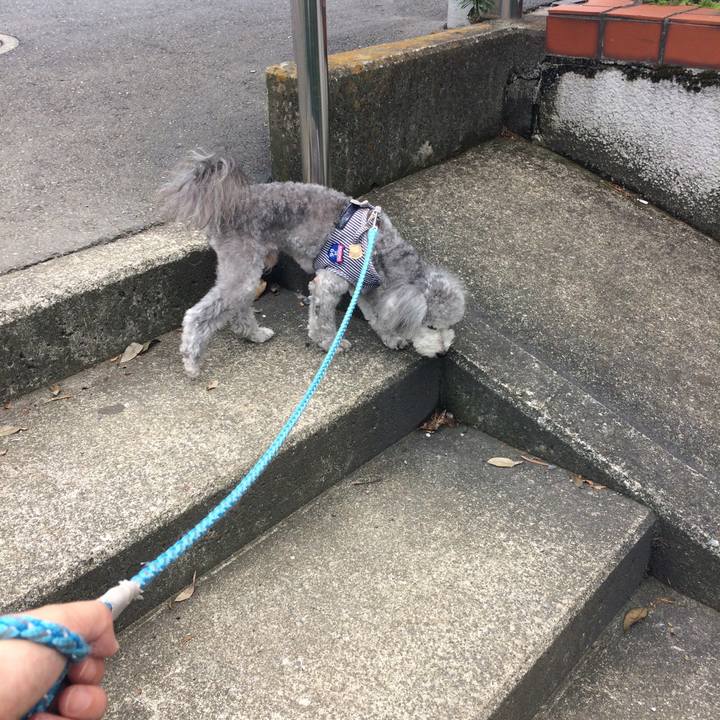 752bfd44 6104 4130 a3f1 a7e97ef5c0fa