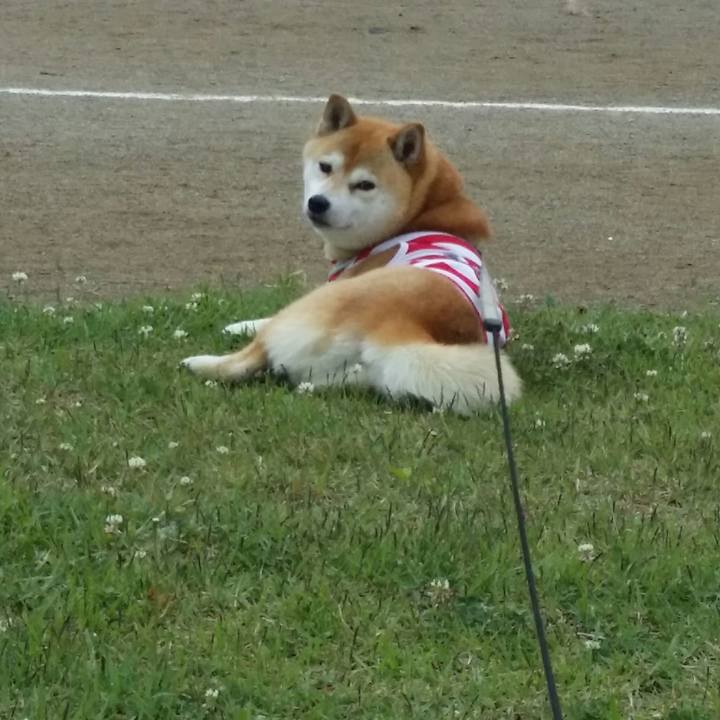 752c4115 c867 4f79 9b89 9c4fdecc4569