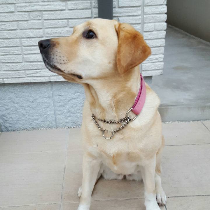 752c6482 f1c5 4ffd 9609 fb8cbb886f53