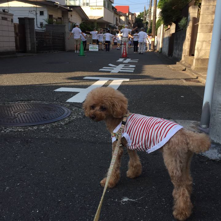 752cc485 eed8 4605 913b 2979fedbb1a9