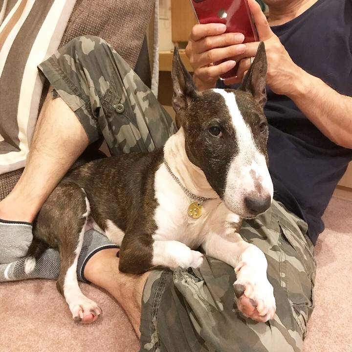 752d8051 f21a 4f6f bd6f f1d45f8da442