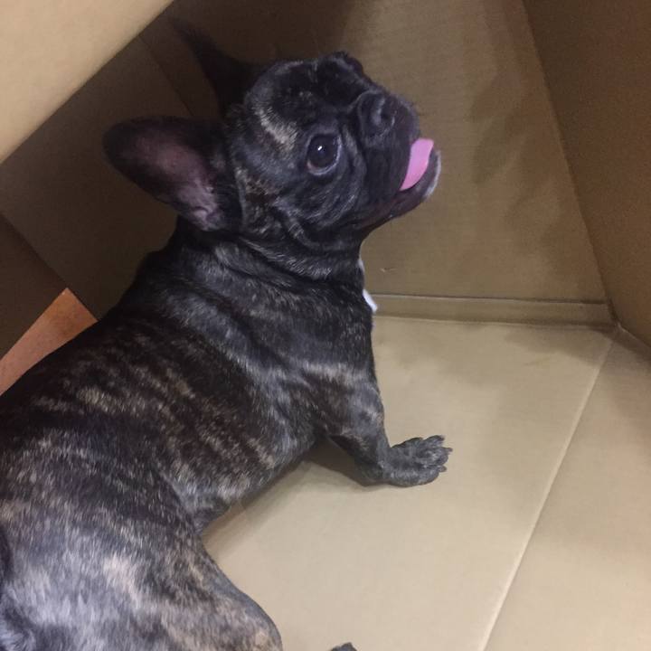 752e40ab eb29 4922 b225 c8f3914c8b2d