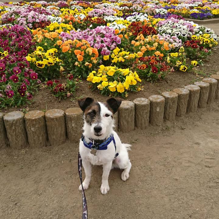 752e5c75 7e02 49ac b55d 26898f553f11