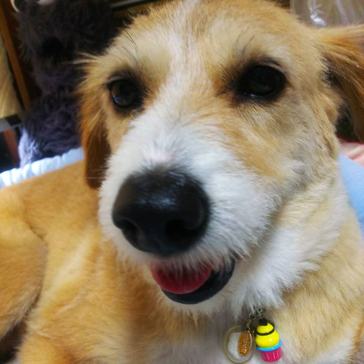 752efa61 b3d4 4957 812d b391483df91b