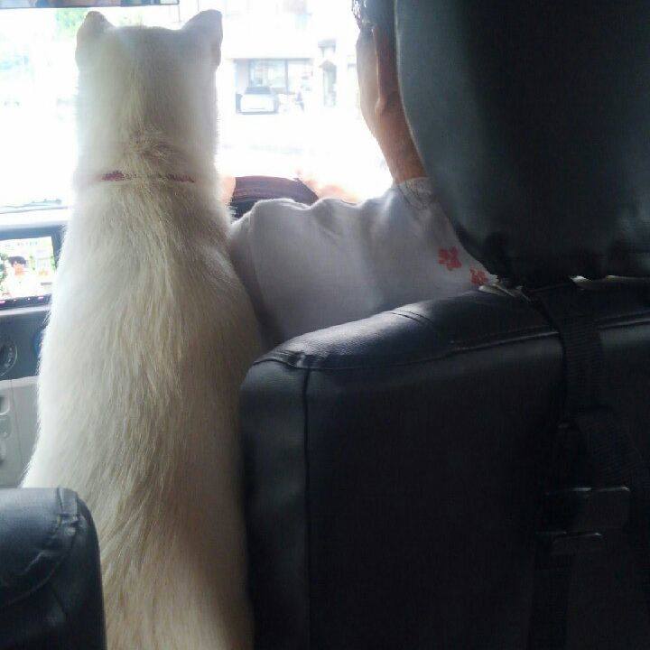 752f0916 ca09 4956 a68e 670e8473bd2c