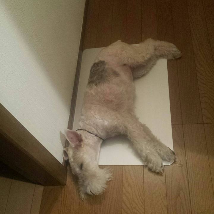 752f1311 b5e8 4a84 874a 414241be3e48