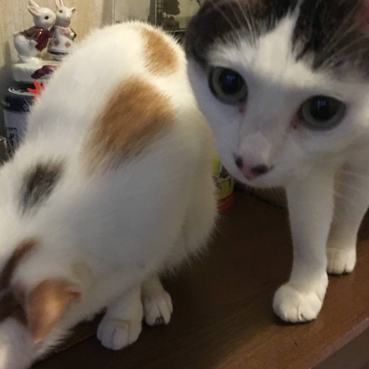 752f9982 dbbe 4706 a12f 0d946615ef10