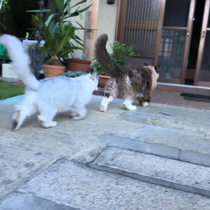 752fe160 7bf6 4274 aad6 0af9e1eba32d