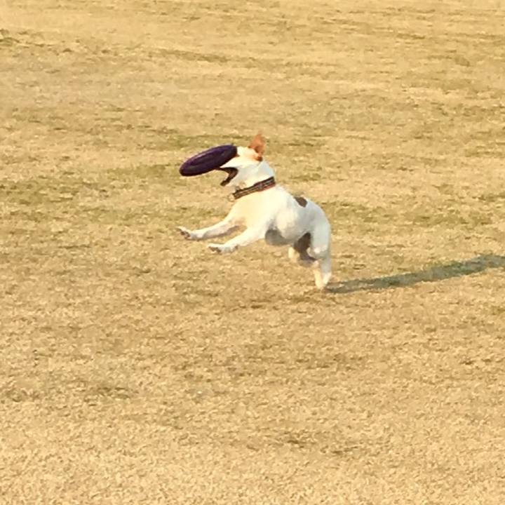 75300ab5 4424 403f bc7b 84e5d3b3ba08