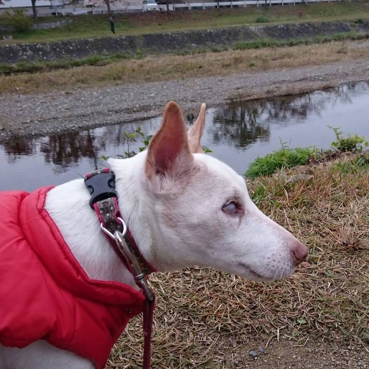 753081bb 61d9 4a68 8b0c 1a6a2079e359