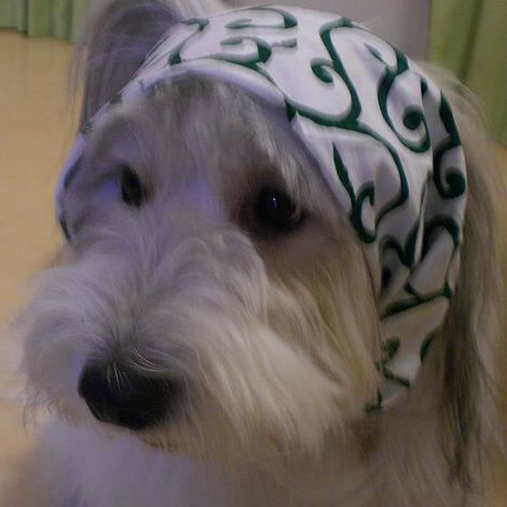 75312311 e9af 41c8 a710 fd669aec2890