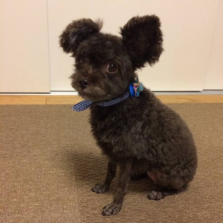 7531312f c410 4097 b6f7 188da84a09ec