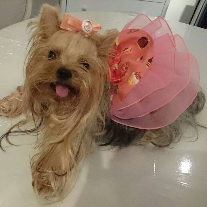 7532720b 071c 4608 b341 527f2149f9ad