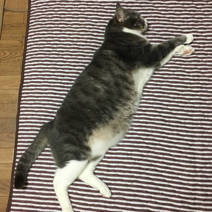 75333fcd e05c 422a 9d5c a79c3e811088